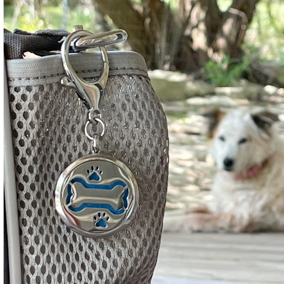PawZaar Accessories Dog Bone Aromatherapy Purse Locket or Key Ring