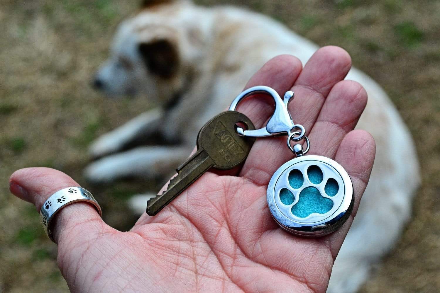 PawZaar Accessories Lone Paw Aromatherapy Purse Locket or Key Ring