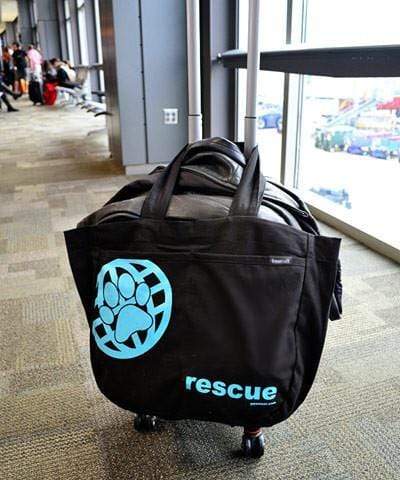 PawZaar.com Bags and Purses Black RESCUE Tote Bag