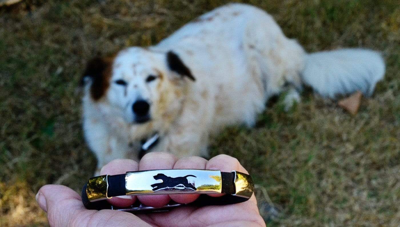 PawZaar.com Jewelry Black / OSFM Run to Rescue Bracelet