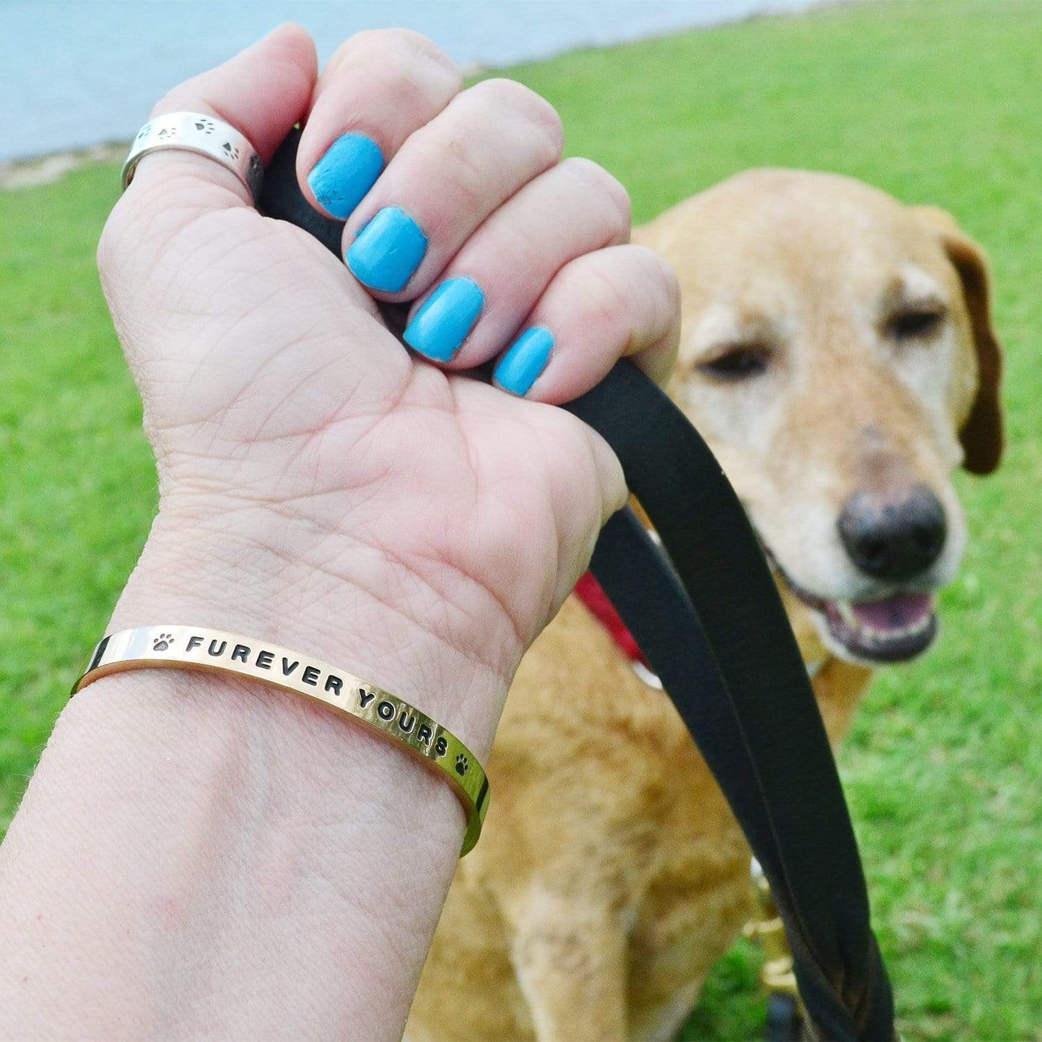 PawZaar.com Jewelry FUREVER YOURS Bracelet | Paw Promise Charity Bracelets