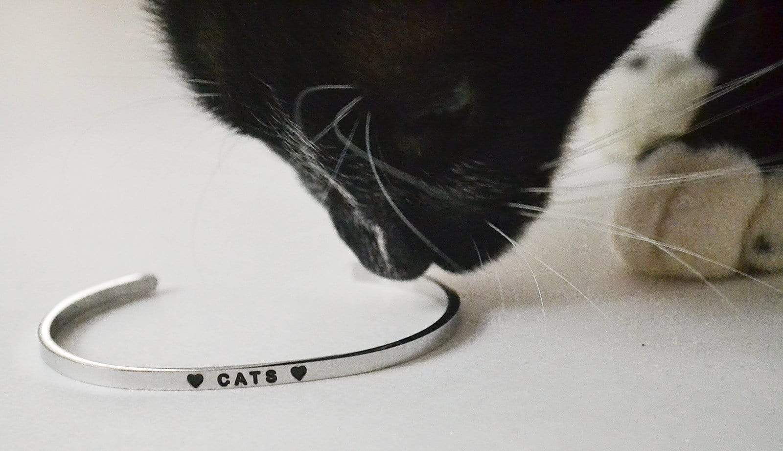 PawZaar.com Jewelry Stainless steel / OSFM CATS Cuff Bracelet | Paw Promise Charity Bracelets
