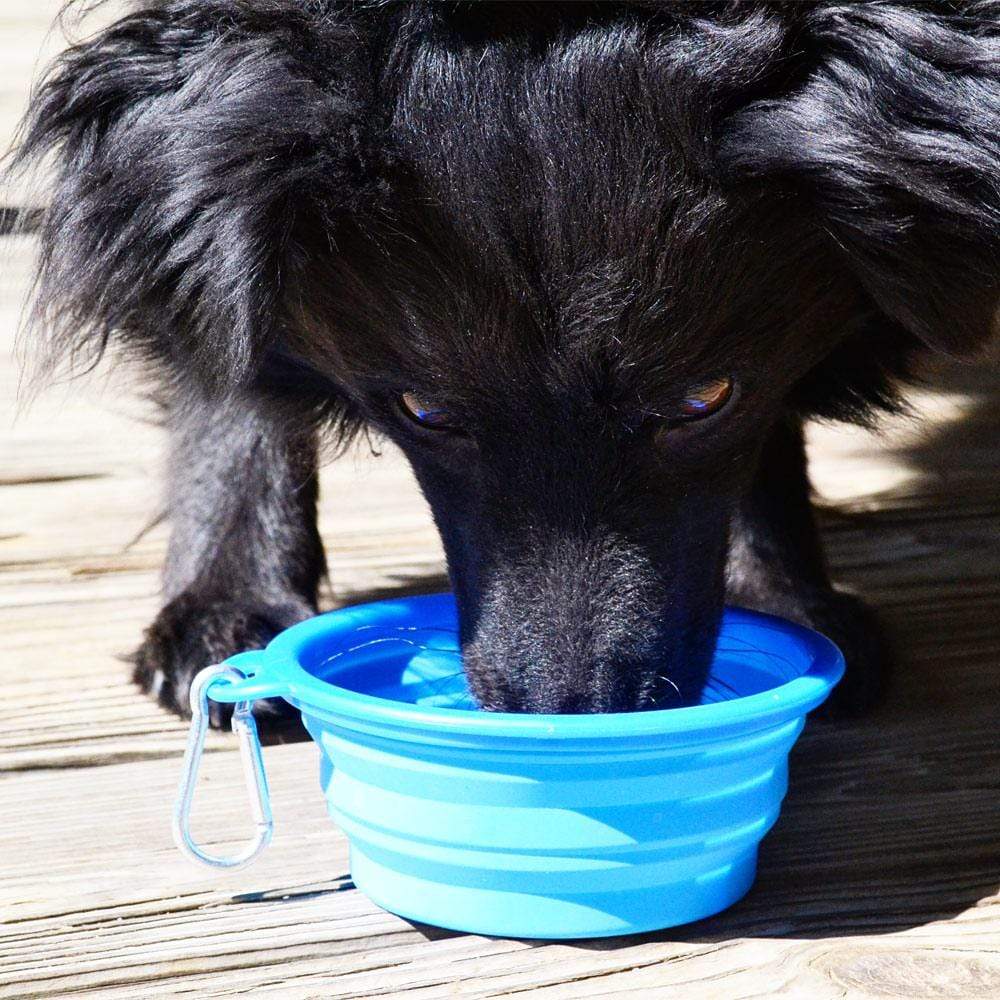 Yucky Puppy Accessories Silicone Collapsible Dog Bowl with Carabiner