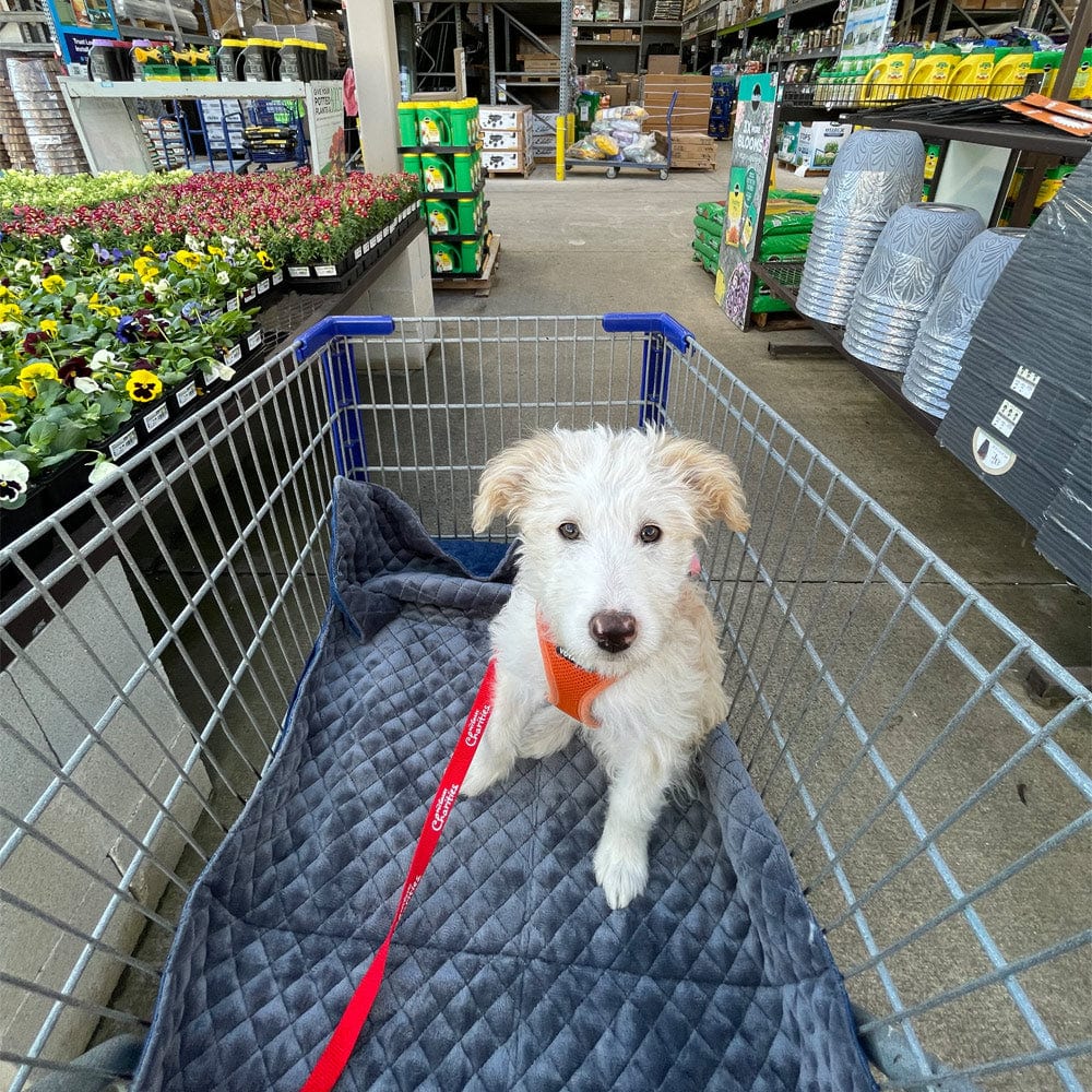 YUCKY PUPPY Folding Travel Dog Mat