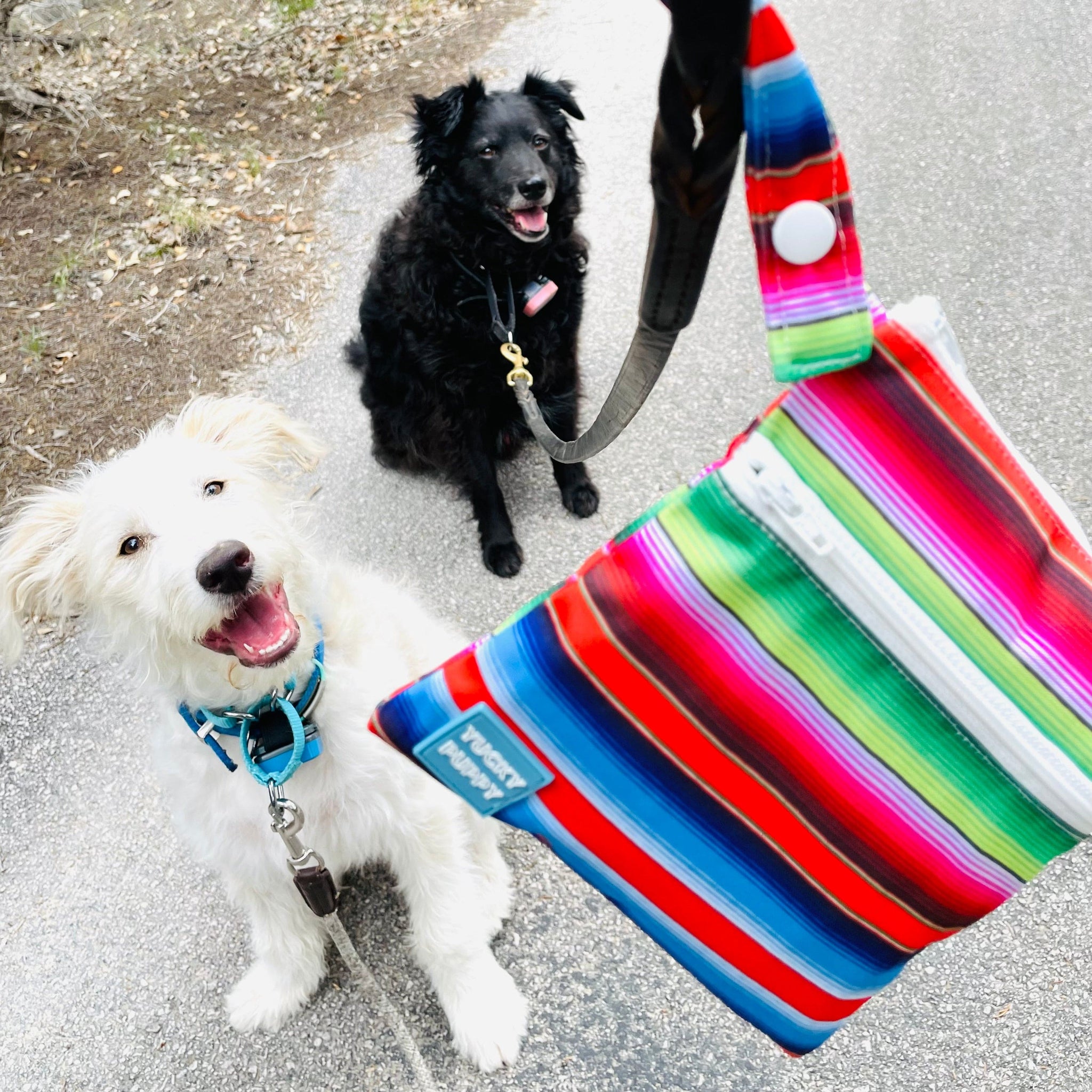 Yucky Puppy Pet Waste Bag Dispensers & Holders 2-Pocket Serape Poop Bag Holders (Set of 2)