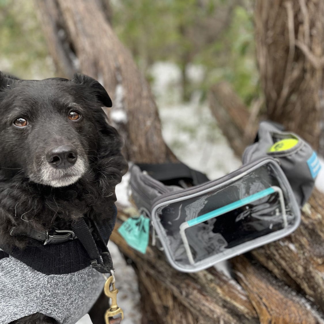 Yucky Puppy Pet Waste Bag Dispensers & Holders YUCKY PUPPY Dog Walking Fanny Pack and Crossbody Bag