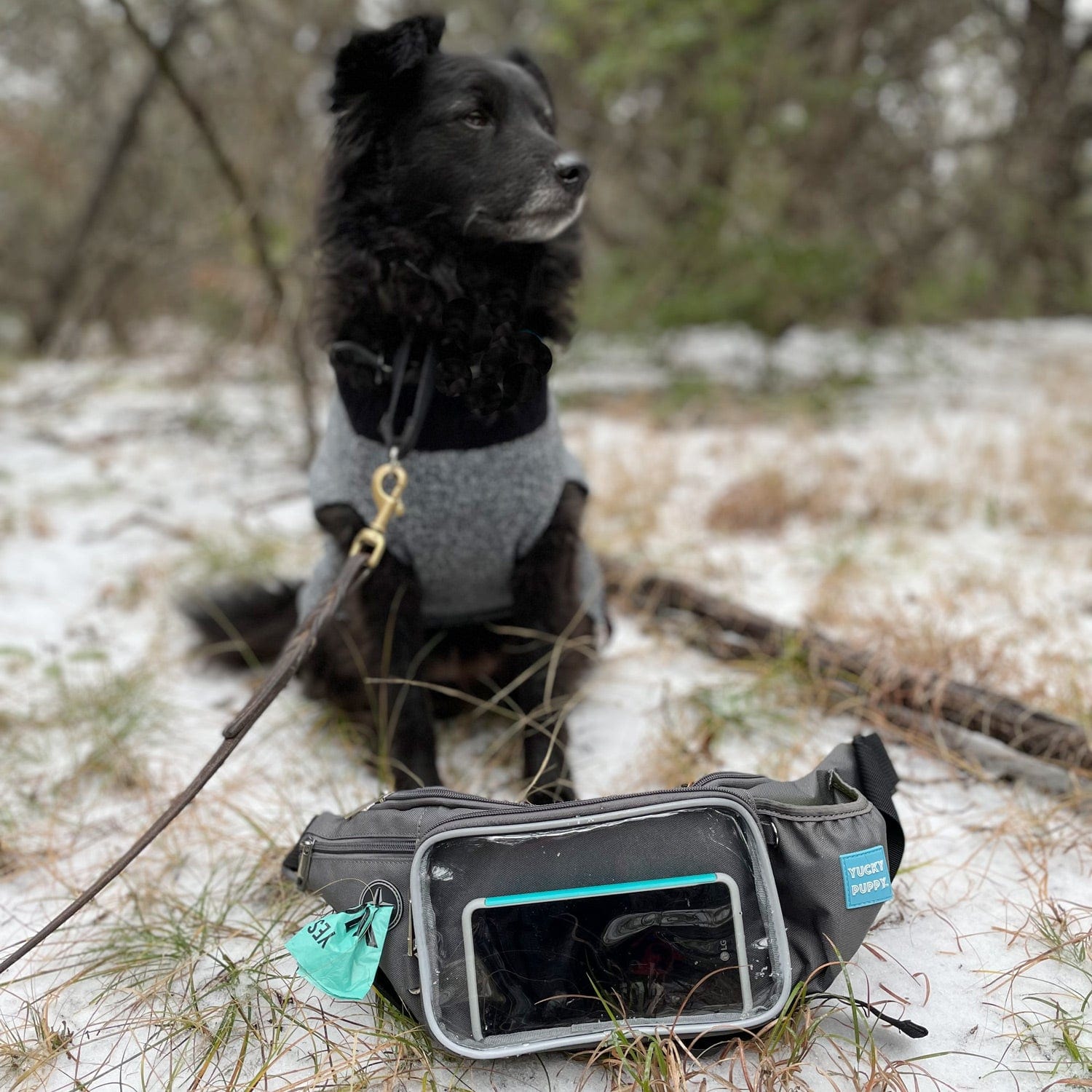 Yucky Puppy Pet Waste Bag Dispensers & Holders YUCKY PUPPY Dog Walking Fanny Pack and Crossbody Bag