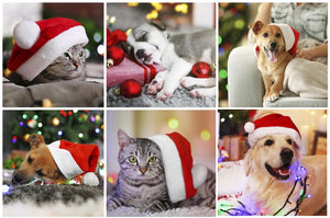 PawZaar Holiday Gift Guide!