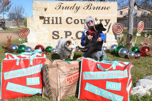 Pawliday Toy Drive Toys Have Been Delivered!
