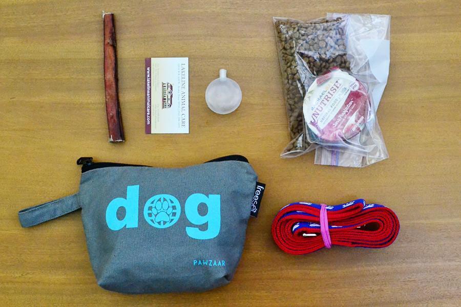 How to Make a Lost Dog Kit