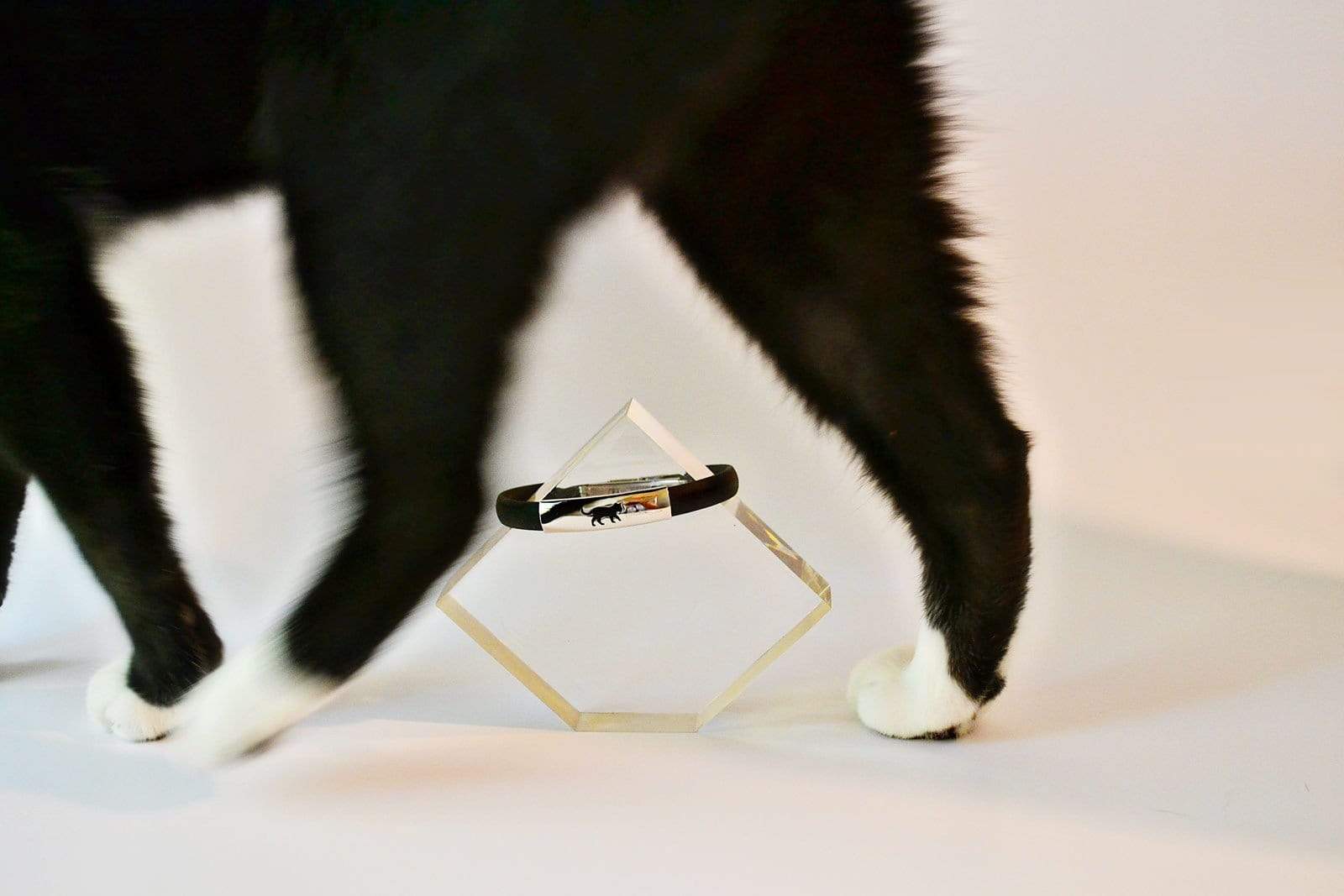 PawZaar Jewelry Black / OSFM Black Cat Bracelet