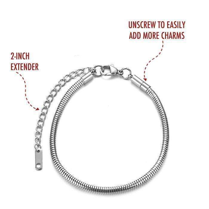 PawZaar Jewelry Stainless Steel Charm Bracelet