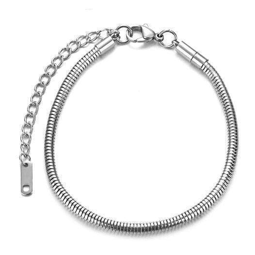 PawZaar Jewelry Stainless Steel Charm Bracelet