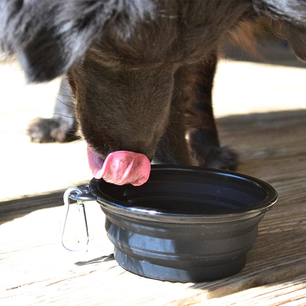 Yucky Puppy Accessories Silicone Collapsible Dog Bowl with Carabiner