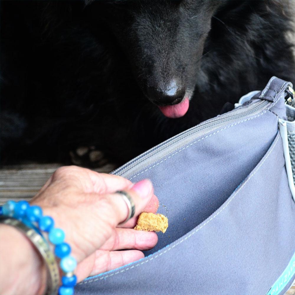 Yucky Puppy Bags and Purses Black + Gray Yucky Puppy dog walking bag | crossbody phone bags